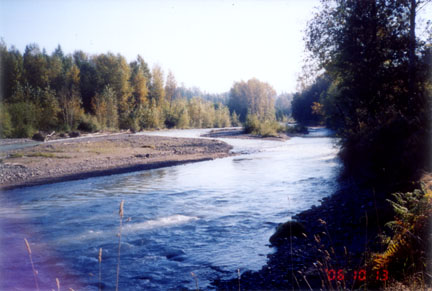 The White River flowing towards the camera